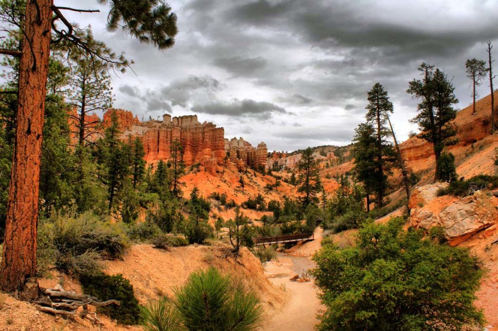 The Breathtaking Views of Bryce Canyon National Park
