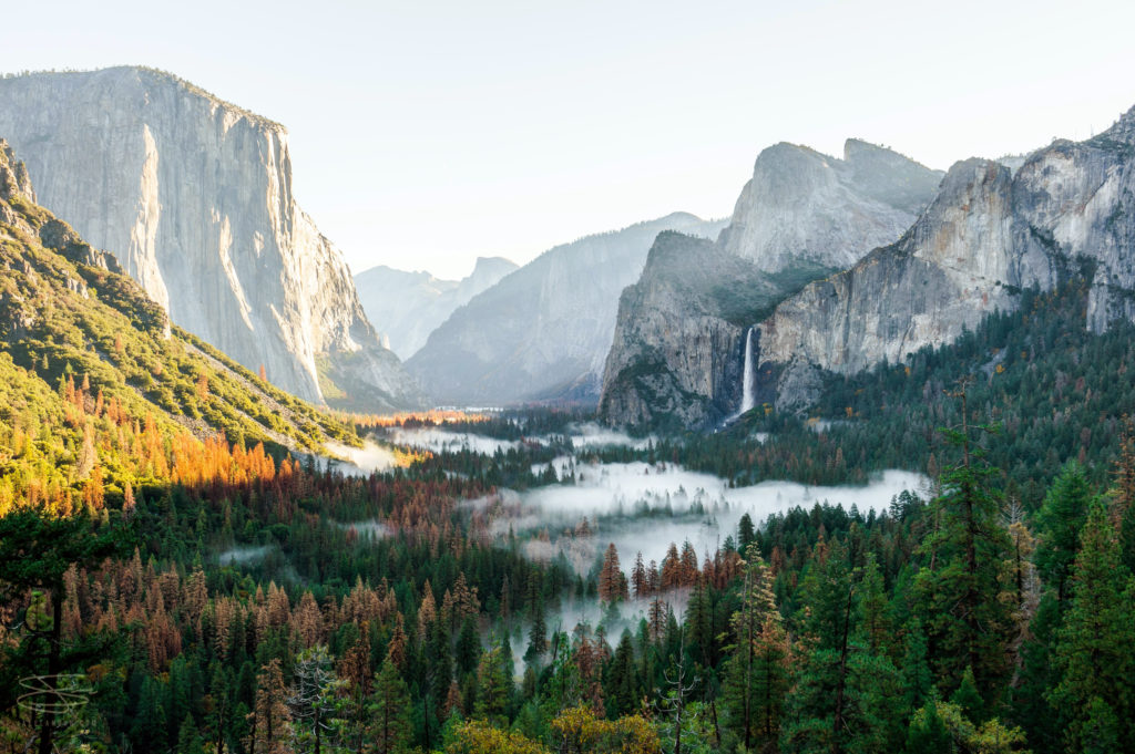 Witnessing the Beauty of Yosemite Valley
