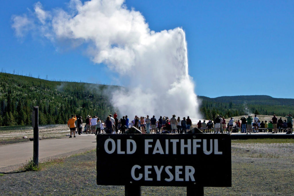 Geysers at Yellowstone's Old Faithful