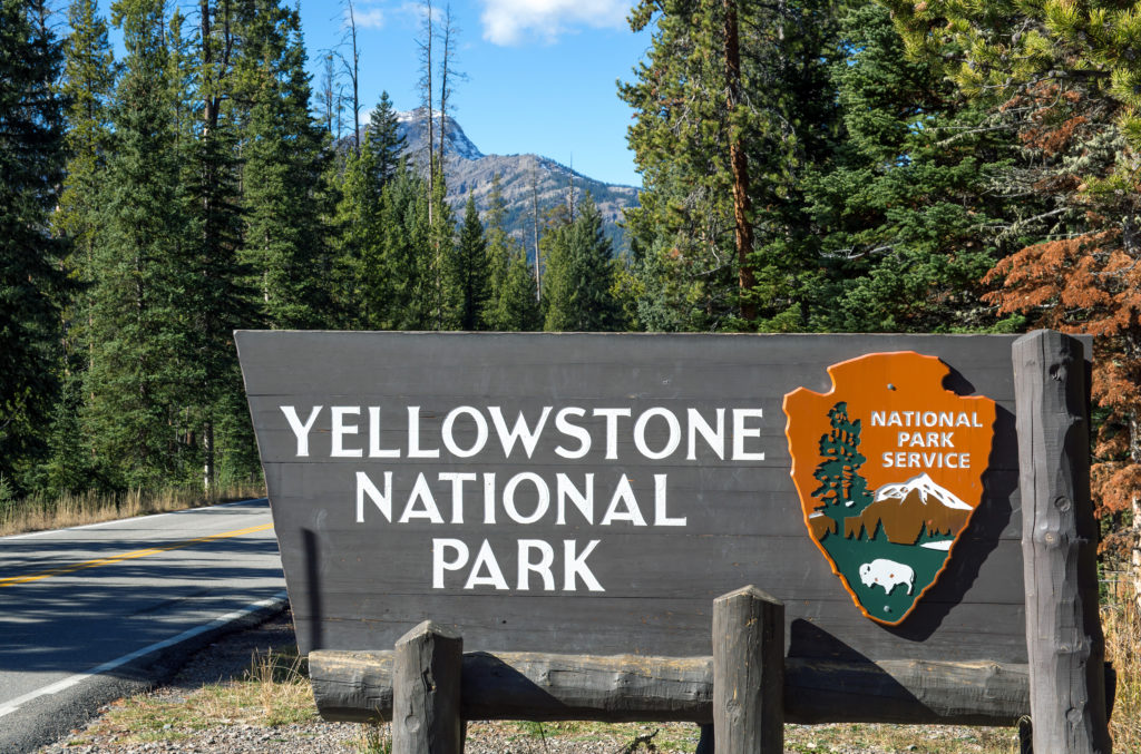 Exploring Yellowstone National Park